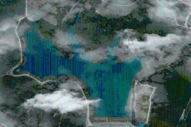 海獭睡觉时游戏画面
